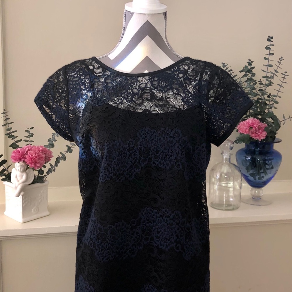 Ann Taylor Loft Dark  Blue Lace Dress